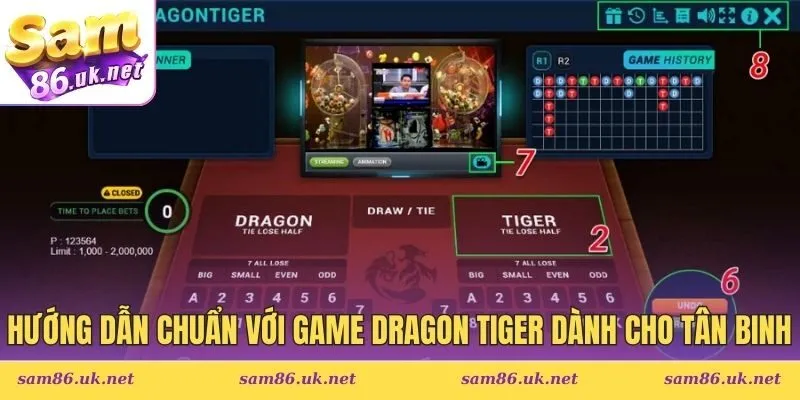 Hướng dẫn chuẩn với game Dragon Tiger dành cho tân binh